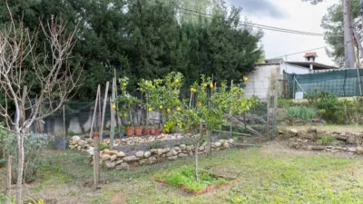 Detached house on Avenida de los Pioneros, no. > photo 41
