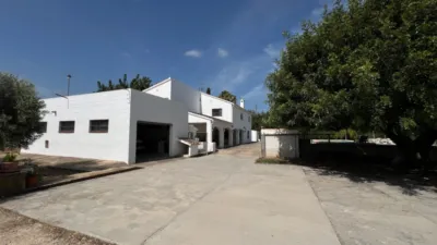 Pis – Dénia - Més