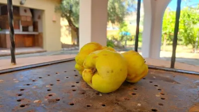Property in Orba photo 19