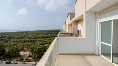 Piso – Guardamar del Segura - Vista 2