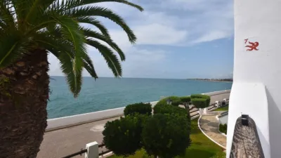 Apartment in Racó de Santa Llúcia photo 3