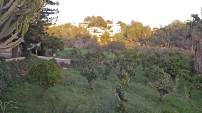 Apartment in Benissa photo 26