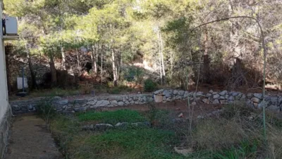 Rustic Finca in Oltamar photo 2