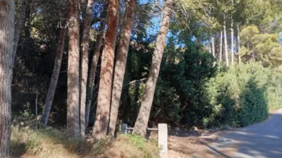 Rustic Finca in Oltamar photo 3