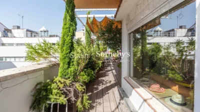 Penthouse on Calle de la Alameda photo 12