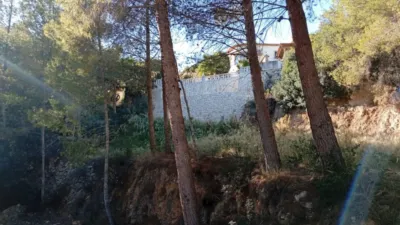 Rustic Finca in Oltamar photo 4