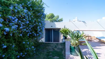 Villa in Olivella photo 19