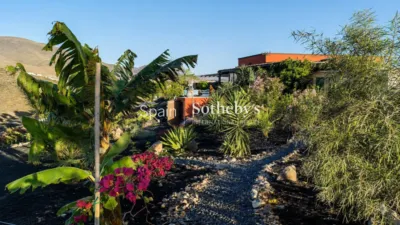 House on Vial Camino Street photo 4