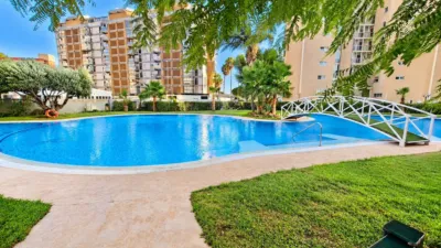 Apartment in Arenal Beach Area photo 3