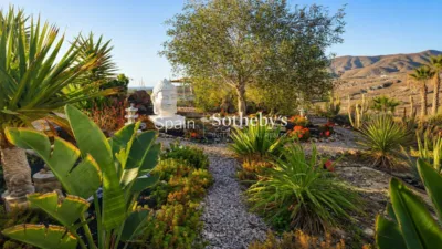 House on Vial Camino Street photo 14