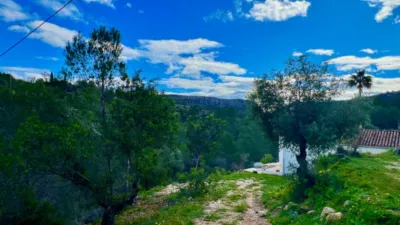 Rustic Finca in Benissa Pueblo photo 14