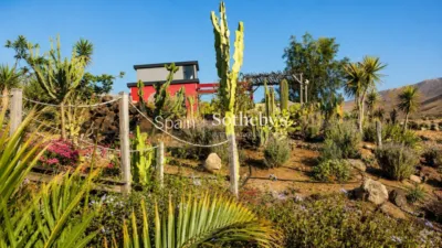 House on Vial Camino Street photo 23