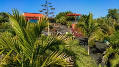 House on Vial Camino Street photo 5