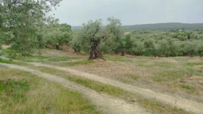 Casa en Bembézar del Caudillo photo 36