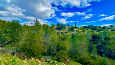 Rustic Finca in Benissa Pueblo photo 12