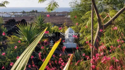 House on Vial Camino Street photo 6