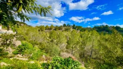 Rustic Finca in Benissa Pueblo photo 5