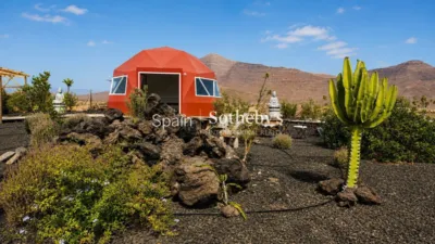 House on Vial Camino Street photo 52