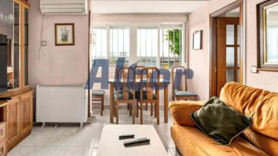 Apartment in San Blas photo 5