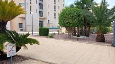 Apartment in Levante photo 48