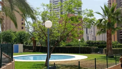Apartment in Levante photo 44