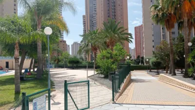 Apartment in Levante photo 41