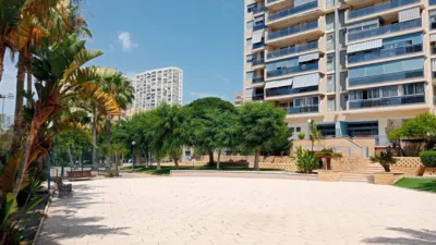 Apartment in Levante photo 45