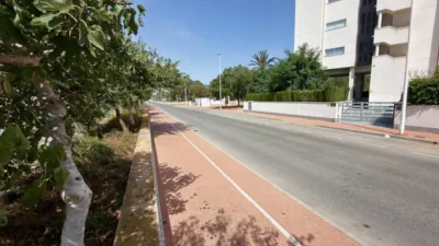 Apartment in Guardamar del Segura photo 33