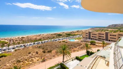 Apartment in Arenales del Sol photo 8