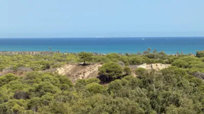 Apartment in Guardamar del Segura photo 23