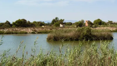 Apartment in Guardamar del Segura photo 32