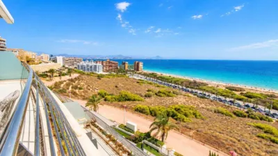 Apartment in Arenales del Sol photo 10