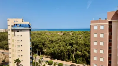 Apartment in Guardamar del Segura photo 29