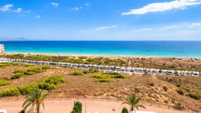 Apartment in Arenales del Sol photo 9