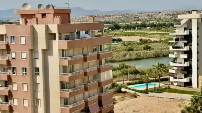 Apartment in Guardamar del Segura photo 28