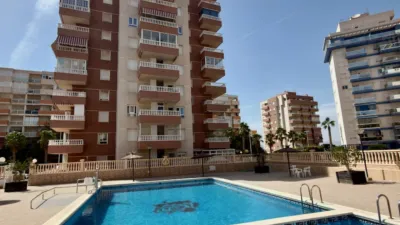 Apartment in Guardamar del Segura photo 22