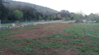 Property on the outskirts photo 33