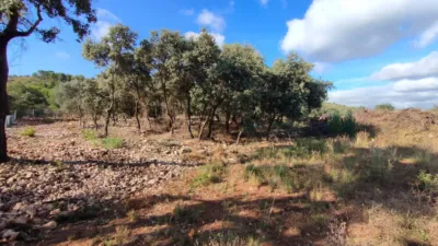 Property on the outskirts photo 39