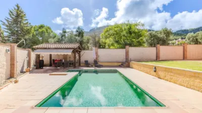 Single-family home on Calle del Tomillar, No. > photo 3