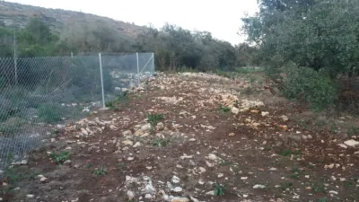 Property on the outskirts photo 38