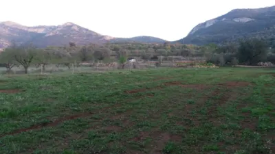 Property on the outskirts photo 32