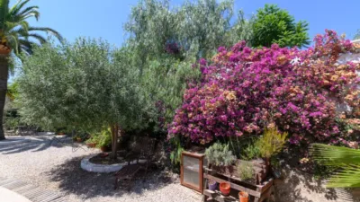 Chalet en La Mandarina photo 24