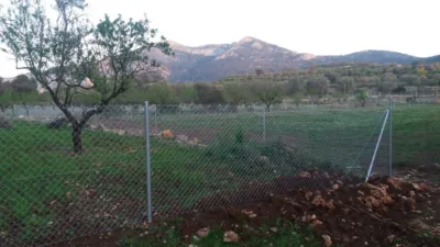 Property on the outskirts photo 35