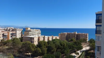 Piso en Playa - Arenales del Sol photo 15