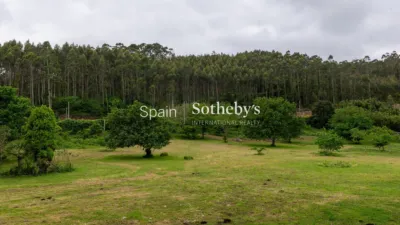 Rustic finca on Prado Do Castillo Street photo 41