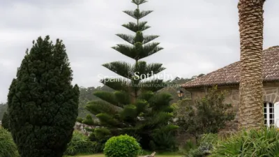 Rustic finca on Prado Do Castillo Street photo 40