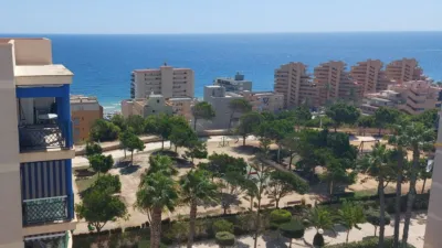 Piso en Playa - Arenales del Sol photo 19