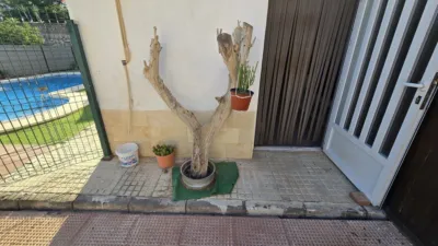 Chalet en calle Overa, nº 1 photo 37