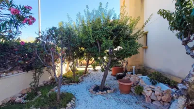 Apartment in Los Dolores-Montezenia-Lomas de Cabo photo 23