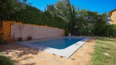 Detached house in Dehesa-El Soto photo 20
